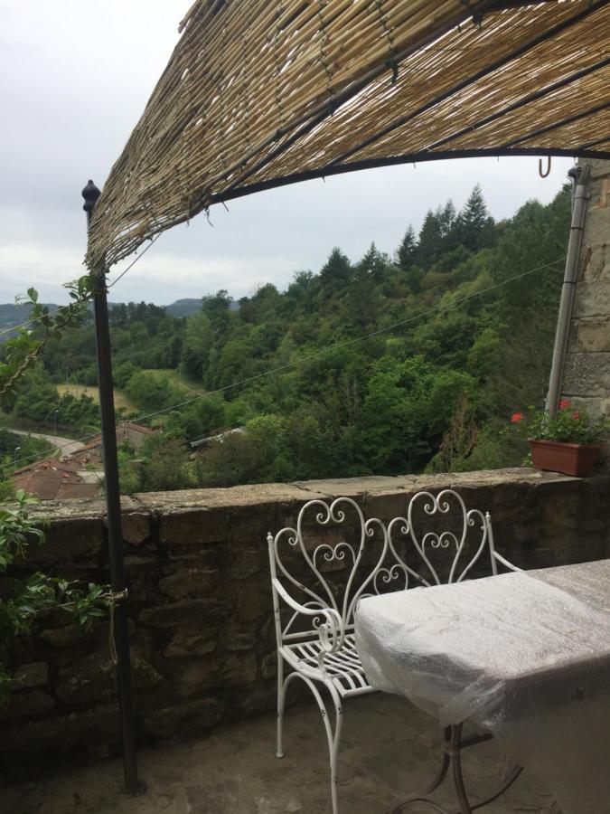 Ferienwohnung Castello Di Urbech Pratovecchio Exterior foto