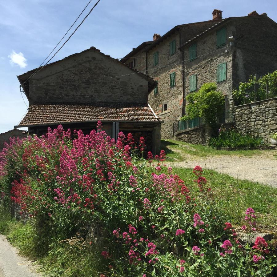 Ferienwohnung Castello Di Urbech Pratovecchio Exterior foto